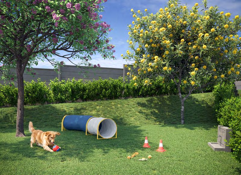 Pet place gramado com túnel e obstáculos