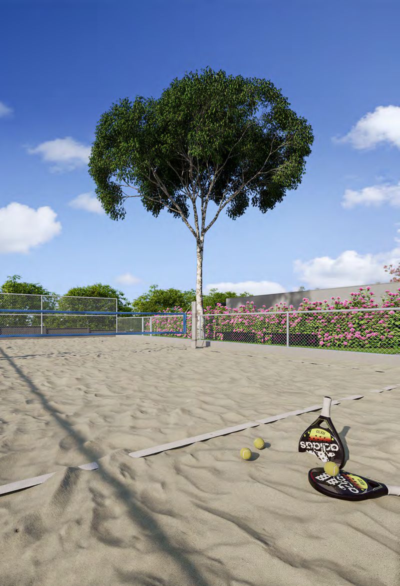 Quadra de areia com árvore ao fundo